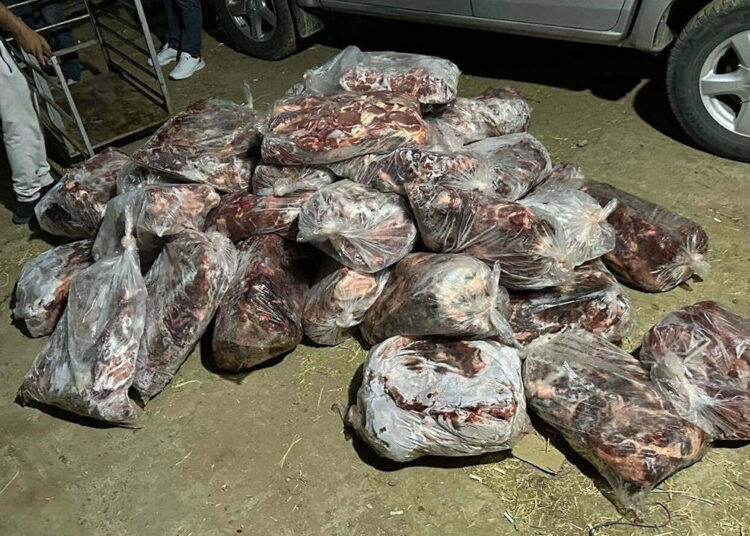 Aydın’da bir çiftlikte, 1 ton kesilmiş domuz eti ele geçirildi 1 Aydın’da bir çiftlikte, 1 ton kesilmiş domuz eti ele geçirildi