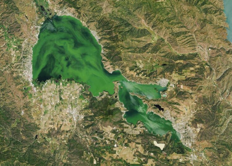 NASA'nın paylaşımı korkuya sebep oldu: Gölde alg patlaması yaşanıyor 1 NASA’nın paylaşımı korkuya sebep oldu: Gölde alg patlaması yaşanıyor