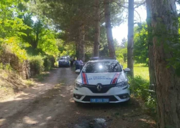 Sivas’ta bir arazide insan kafatası bulundu