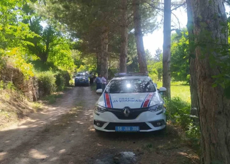 Sivas'ta bir arazide insan kafatası bulundu 1 Sivas’ta bir arazide insan kafatası bulundu