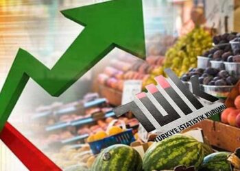 TÜİK enflasyon rakamlarını açıkladı! Mayıs ayı yüzde 3,37, yıllık 75,45