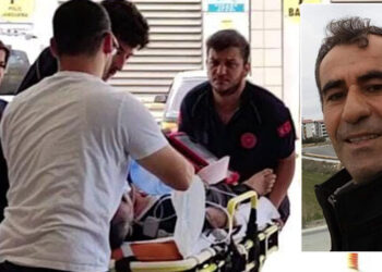 Yıllarca yetiştirdiği arılar, ölümüne sebep oldu