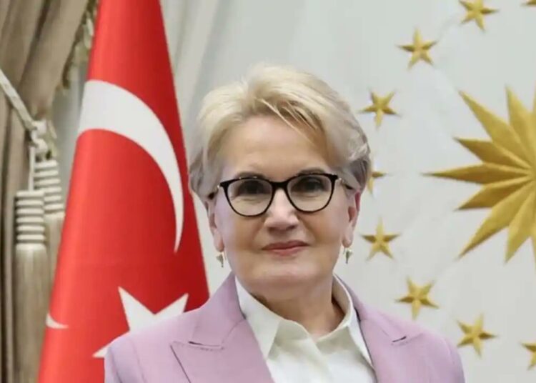 Meral Akşener, İYİ Parti’ye yazı gönderdi: Fotoğraflarımı parti binalarından indirin 1 Meral Akşener, İYİ Parti’ye yazı gönderdi: Fotoğraflarımı parti binalarından indirin