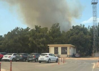Antalya’da orman yangını
