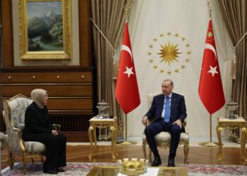 Ayşe Ateş’ten ‘Erdoğan’la görüşme’ mesajı: Yarın ne konuşacaklarını düşünsünler…