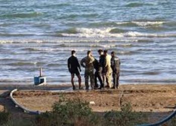 Yüzdüğü alanda patlayıcı gördü, aramalarda 7 el bombası bulundu