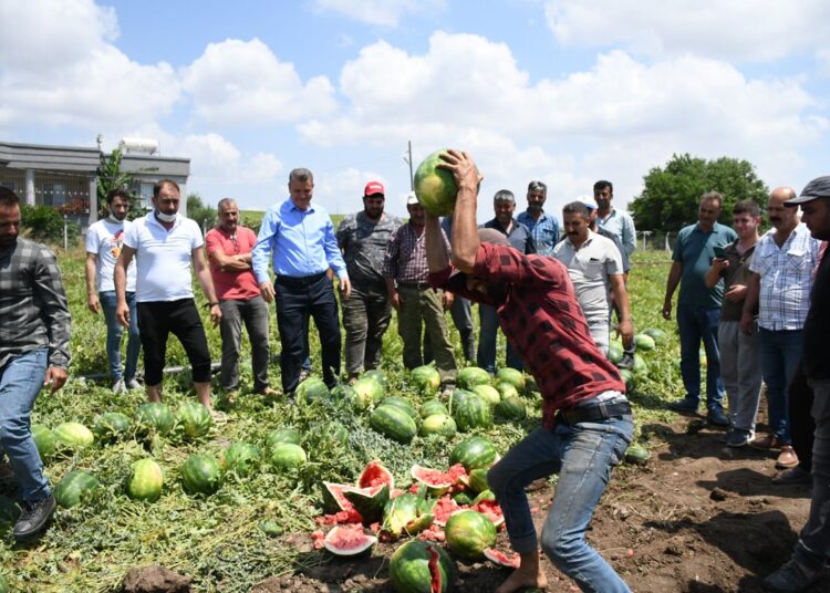 Türk çiftçisini bitir, dışarıdan ithal et