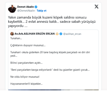 Demet Akalın'ın kuzenini köpekler parçalamış! 2 Demet Akalın'ın kuzenini köpekler parçalamış!