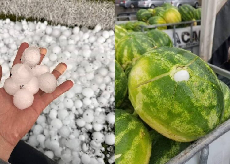 Kayseri'de dolu yağışı: Vatandaşın kafası yarıldı 1 Kayseri’de dolu yağışı: Vatandaşın kafası yarıldı