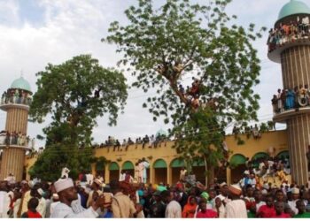 Kontrolden çıkan tır, cuma namazı kılanların arasına daldı: 14 ölü