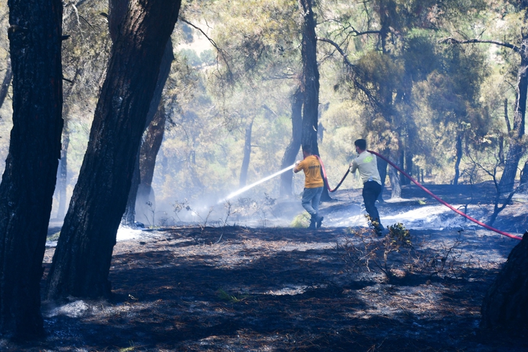 Çeşme ve Menderes yangınlarının nedeni belli oldu 4 Çeşme ve Menderes yangınlarının nedeni belli oldu