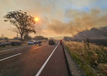 Eceabat’ta orman yangını