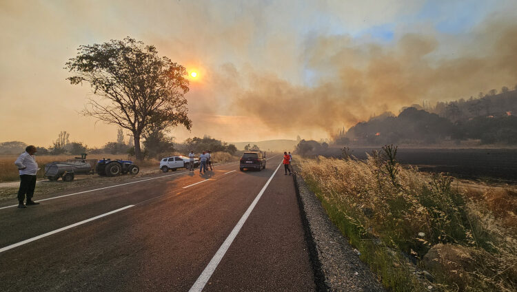 Eceabat’ta orman yangını