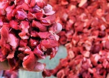 Kurban Bayramı için ‘rigor mortis’ uyarısı
