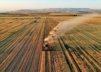 TÜİK: Tarımsal üretim maliyeti yüzde 52 arttı