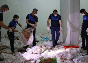 Tonlarca kaçak tavuk eti ele geçirildi