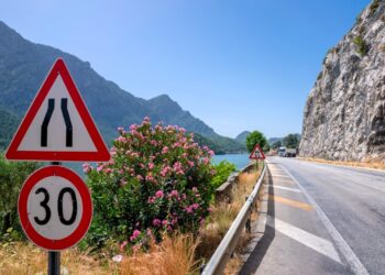 Çiçek açan zakkumlar yollara renk kattı