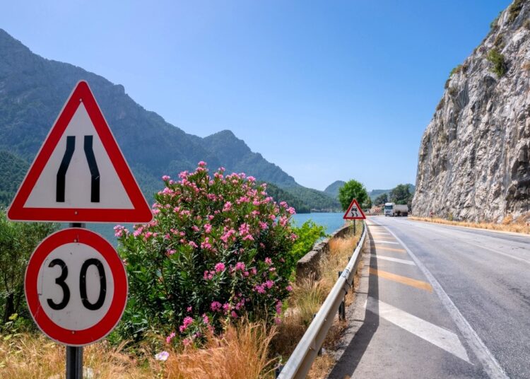 Çiçek açan zakkumlar yollara renk kattı