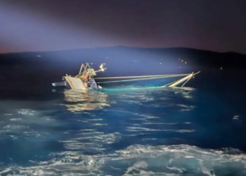 ‘Zengin avcısı’ katil balinalar, Akdeniz’de 128 bin dolarlık yatı batırdı