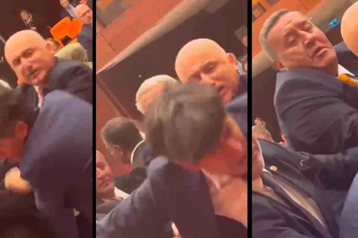 Mercan Bulut yazdı l Meclis’te milletvekilleri kavga ederse… 2 Mercan Bulut yazdı l Meclis’te milletvekilleri kavga ederse…