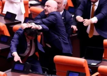 Mercan Bulut yazdı l Meclis’te milletvekilleri kavga ederse…