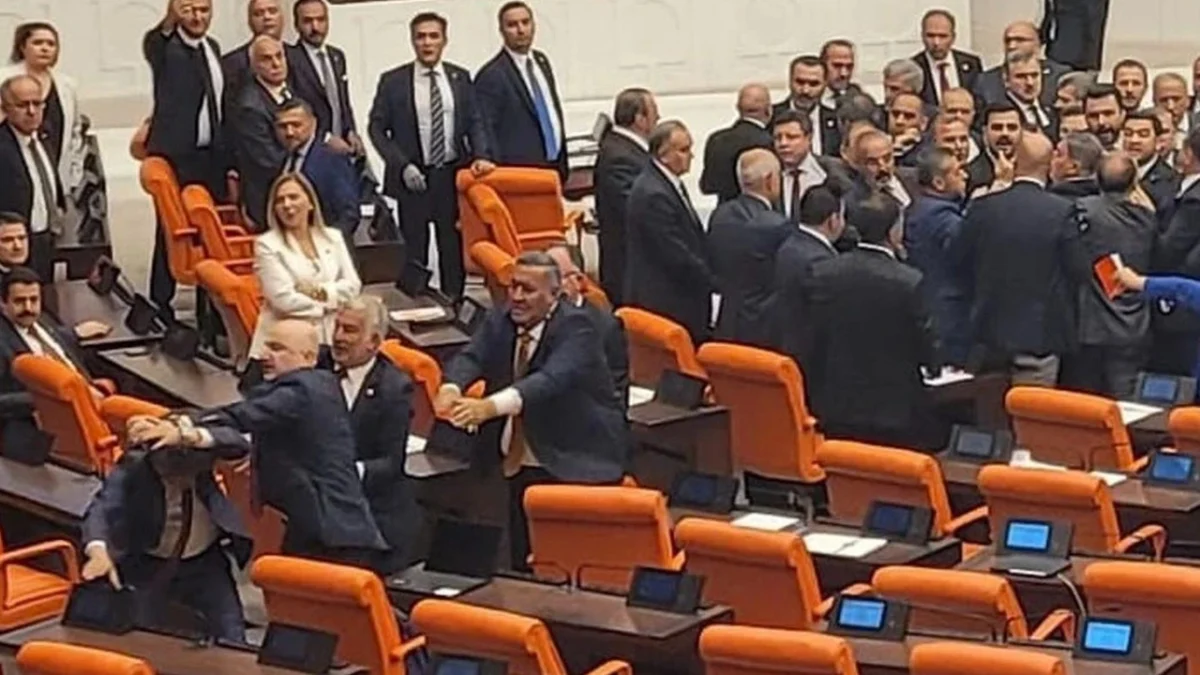 Mercan Bulut yazdı l Meclis’te milletvekilleri kavga ederse… 3 Mercan Bulut yazdı l Meclis’te milletvekilleri kavga ederse…