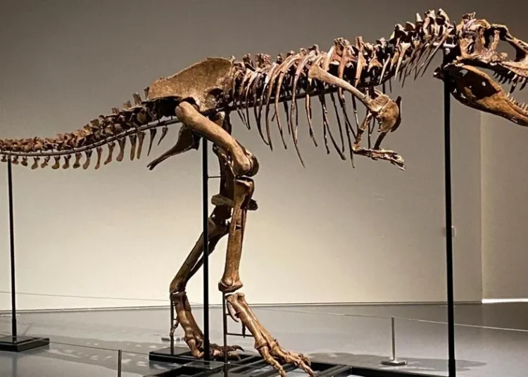 Şimdiye kadarki ‘en pahalı’ dinozor fosili açık artırmada satıldı