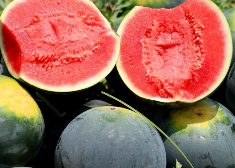 Adana’nın çekirdeksiz karpuzları, Avrupa pazarında tuttu