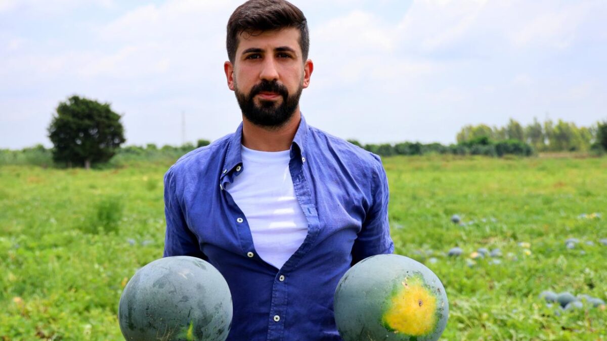Adana’nın çekirdeksiz karpuzları, Avrupa pazarında tuttu