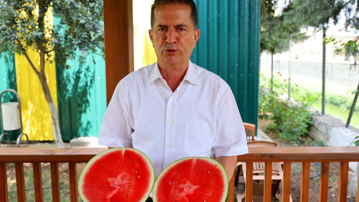 Adana’nın çekirdeksiz karpuzları, Avrupa pazarında tuttu