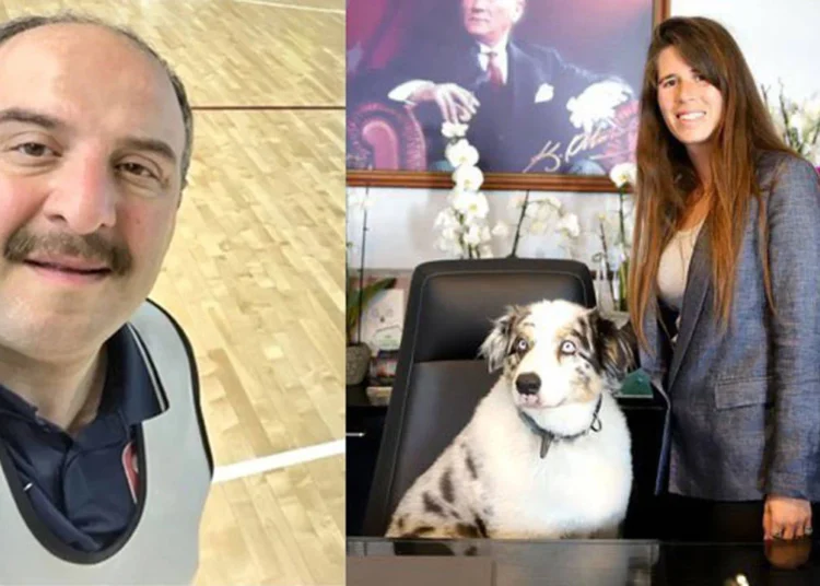 Lâl Denizli, Mustafa Varank’a cevap verdi: Köpeğim sizden daha mantıklı 1 Lâl Denizli, Mustafa Varank’a cevap verdi: Köpeğim sizden daha mantıklı