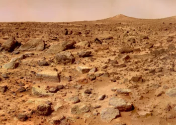 Mars’ta hayatta kalabilecek bir bitki bulundu