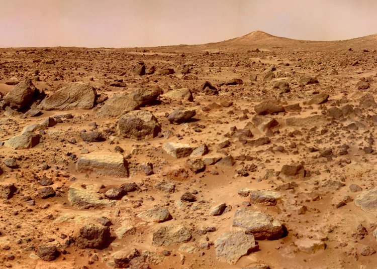 Mars'ta hayatta kalabilecek bir bitki bulundu 1 Mars’ta hayatta kalabilecek bir bitki bulundu