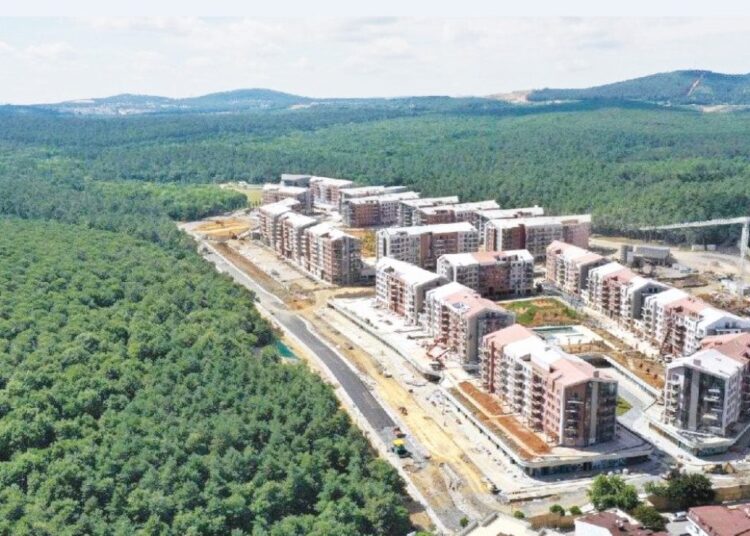 Tek imzayla 2 milyon metrekarelik alan, orman vasfından çıkarıldı