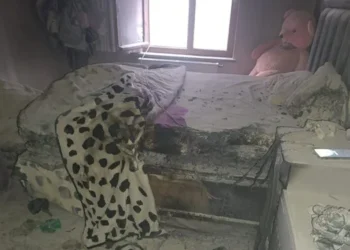 Prize takılı şarj cihazı yangına neden oldu