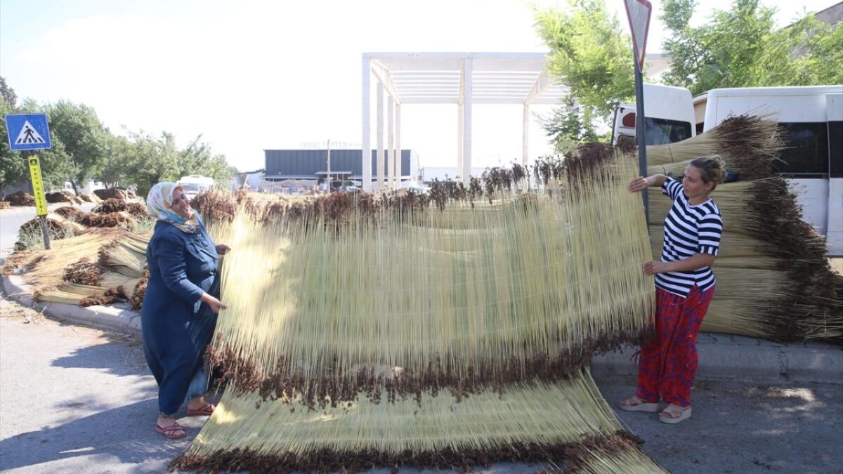Kahramanmaraş'ta mevsimlik işçiler ‘çiğ’ mesaisinde 14 Kahramanmaraş'ta mevsimlik işçiler ‘çiğ’ mesaisinde