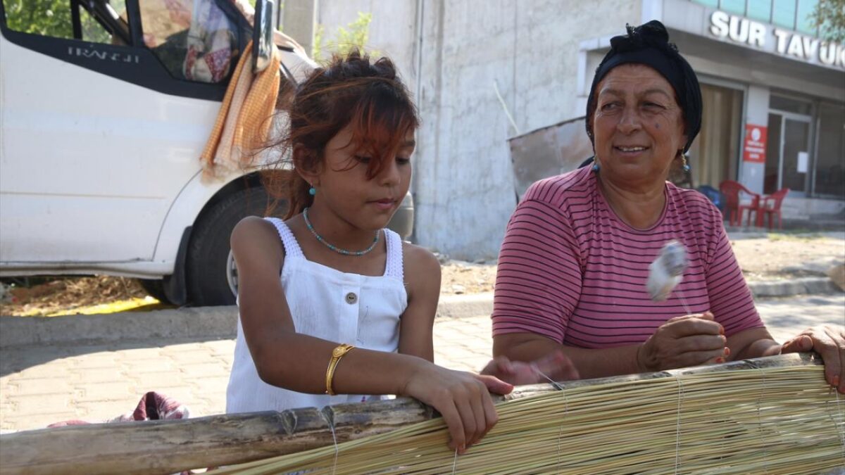 Kahramanmaraş'ta mevsimlik işçiler ‘çiğ’ mesaisinde 5 Kahramanmaraş'ta mevsimlik işçiler ‘çiğ’ mesaisinde