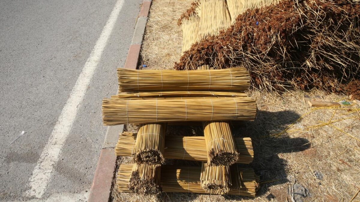 Kahramanmaraş'ta mevsimlik işçiler ‘çiğ’ mesaisinde 4 Kahramanmaraş'ta mevsimlik işçiler ‘çiğ’ mesaisinde