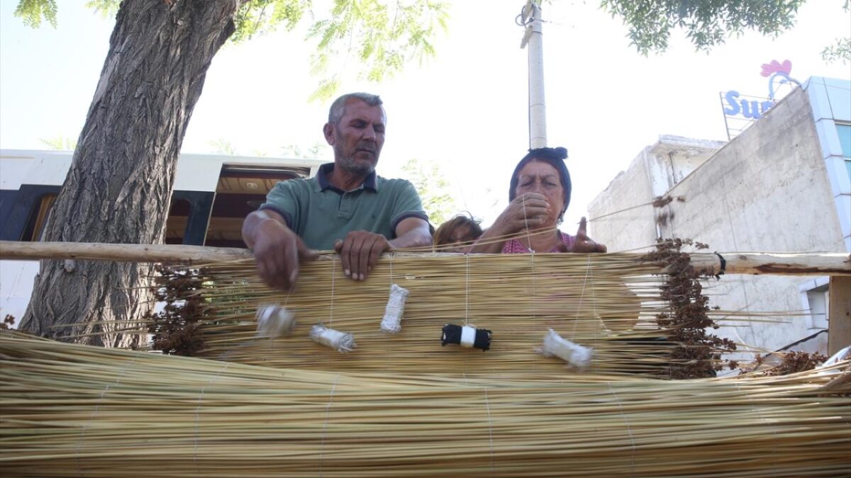 Kahramanmaraş'ta mevsimlik işçiler ‘çiğ’ mesaisinde 7 Kahramanmaraş'ta mevsimlik işçiler ‘çiğ’ mesaisinde