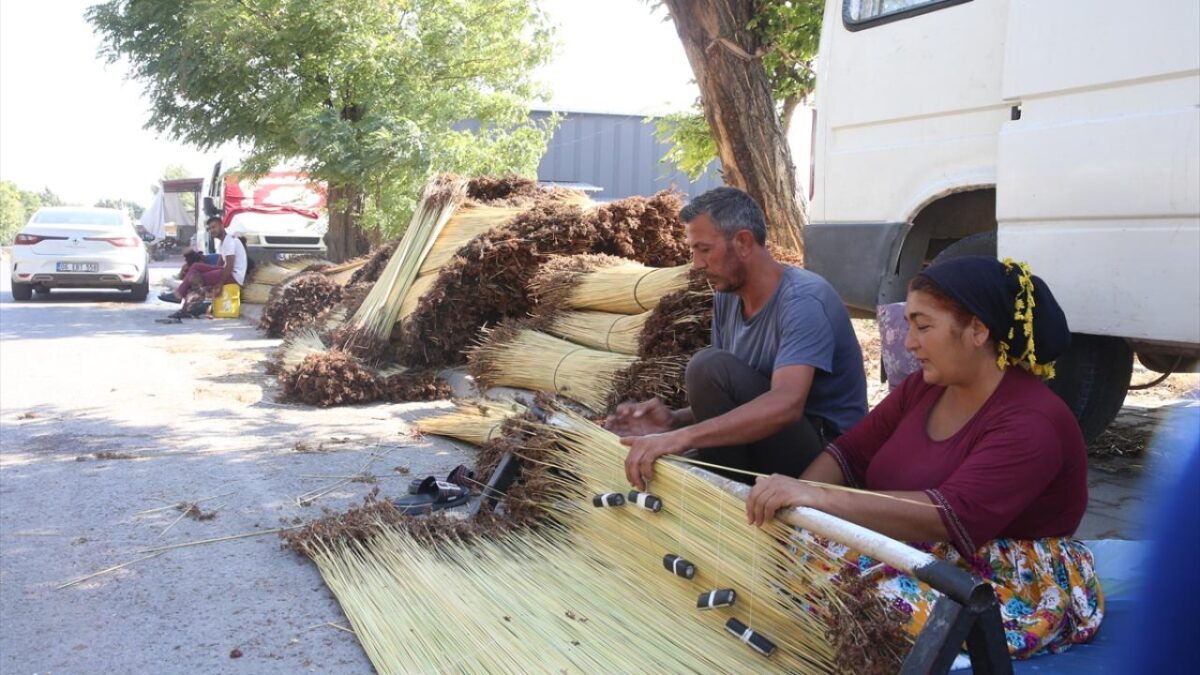 Kahramanmaraş'ta mevsimlik işçiler ‘çiğ’ mesaisinde 8 Kahramanmaraş'ta mevsimlik işçiler ‘çiğ’ mesaisinde