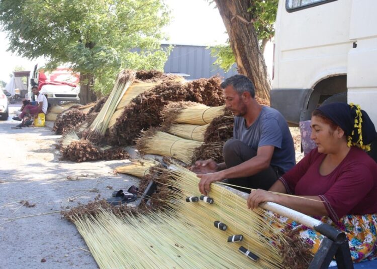 Kahramanmaraş'ta mevsimlik işçiler ‘çiğ’ mesaisinde 1 Kahramanmaraş’ta mevsimlik işçiler ‘çiğ’ mesaisinde