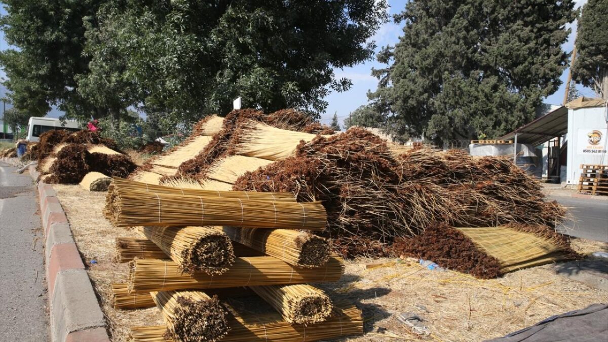 Kahramanmaraş'ta mevsimlik işçiler ‘çiğ’ mesaisinde 10 Kahramanmaraş'ta mevsimlik işçiler ‘çiğ’ mesaisinde