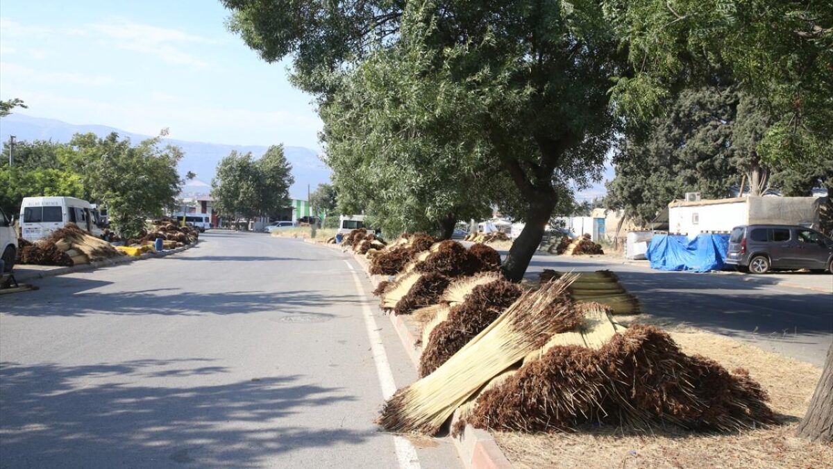 Kahramanmaraş'ta mevsimlik işçiler ‘çiğ’ mesaisinde 11 Kahramanmaraş'ta mevsimlik işçiler ‘çiğ’ mesaisinde