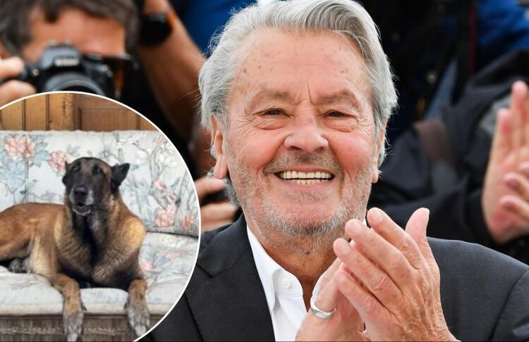 Ailesi, Alain Delon’un vasiyetini yerine getirmeyecek