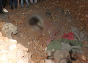 Ankara Altındağ’da köpek katliamı: Soruşturma başlatıldı