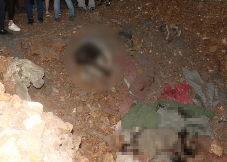 Ankara Altındağ'da köpek katliamı: Soruşturma başlatıldı 1 Ankara Altındağ’da köpek katliamı: Soruşturma başlatıldı