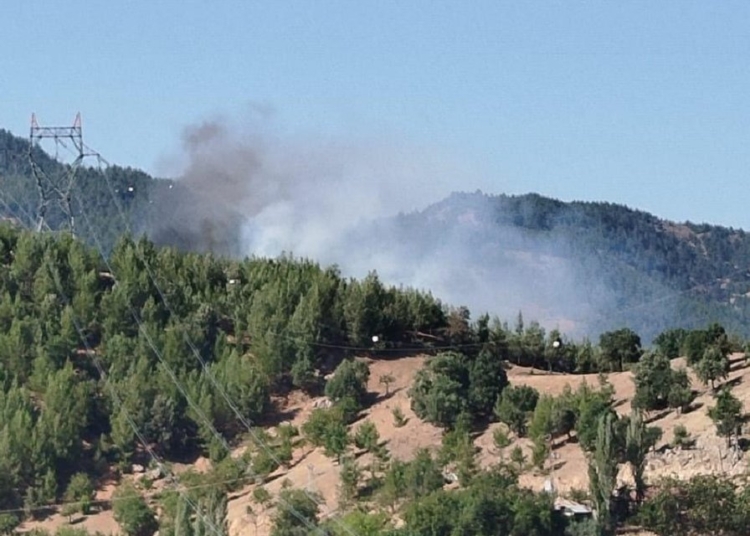 Adana'da yangına müdahale için barajdan su alan helikopter düştü 1 Adana’da yangına müdahale için barajdan su alan helikopter düştü