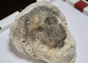 Fethiye Kalesi'nde bulunan heykel başının Apollon'a ait olduğu iddia ediliyor 5 Fethiye Kalesi’nde bulunan heykel başının Apollon’a ait olduğu iddia ediliyor