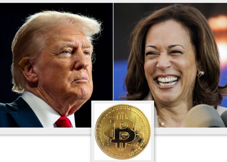 Trump mı Harris mi? Anketlerde fark açıldı, Bitcoin sert düştü