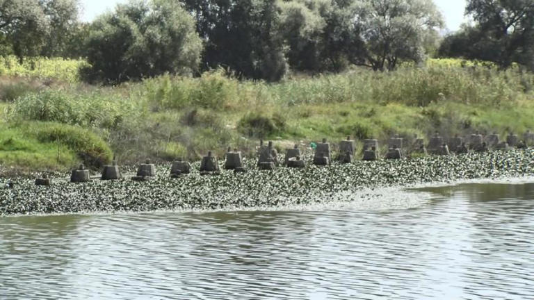Büyükçekmece’de baraj suyu çekilince Çakmak Hattı beton siperleri ortaya çıktı